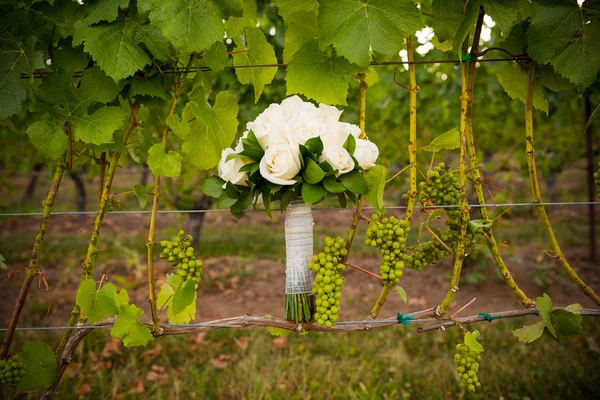 Букет невесты в винограднике — стоковое фото