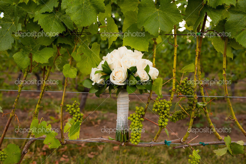在葡萄园里的新娘花束 图库照片 C Joshuarainey