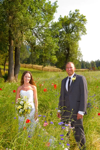 Matrimonio coppia sposa e sposo ritratti — Foto Stock