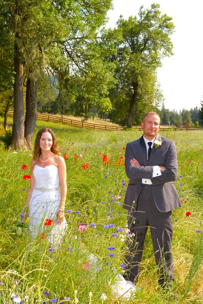 Bryllupsbrud og brudgomportretter – stockfoto