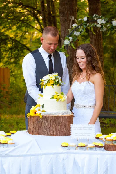Bride and Groom Cutting Cake — Stock Photo, Image