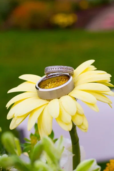 Anéis de casamento macro — Fotografia de Stock
