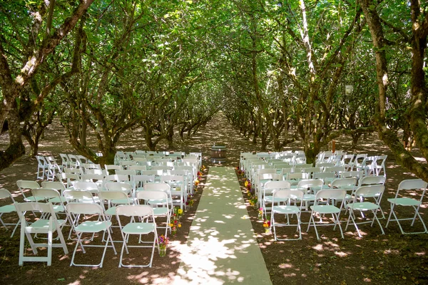 Церемонія одруження в рядок "сад" — стокове фото