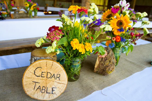 Árvore temático decoração de recepção de casamento — Fotografia de Stock