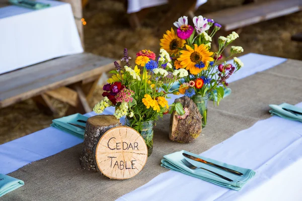 Boom thema bruiloft receptie decor — Stockfoto