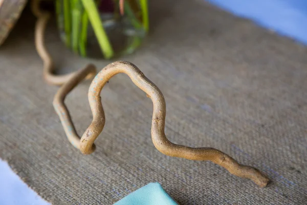 Twisted Tree Branch — Stock Photo, Image