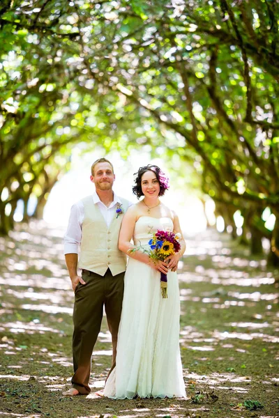 Portraits de mariée et de marié dans le verger — Photo