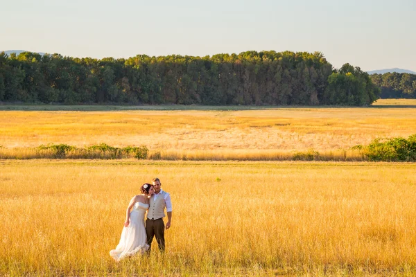 Bruid en bruidegom in een veld bij zonsondergang — Stockfoto