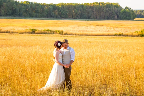 Novia y novio en un campo al atardecer —  Fotos de Stock