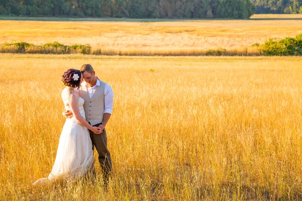 Gelin ve damat bir alanda gün batımında — Stok fotoğraf