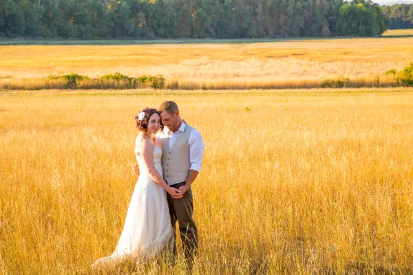 Sposa e sposo in un campo al tramonto — Foto Stock