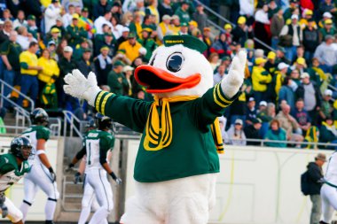 Oregon maskot su birikintileri autzen Stadyumu'nda ördekler