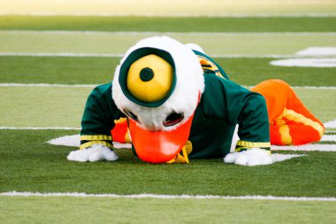 Oregon maskot su birikintileri autzen Stadyumu'nda ördekler
