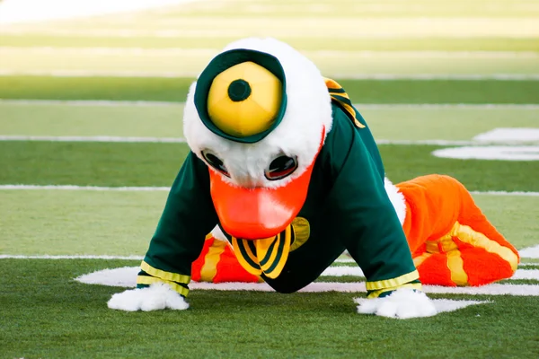 Oregon kachny maskot louže na autzen stadionu — Stock fotografie