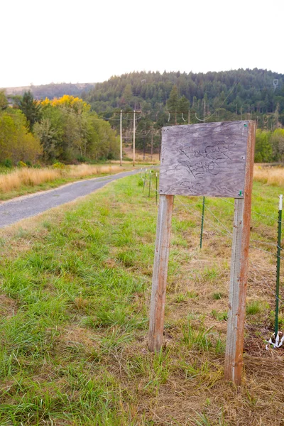 Lege houten teken over de weg — Stockfoto