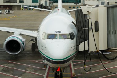 yatılı Alaska havayolları uçuş