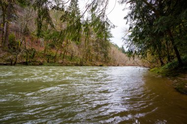 siuslaw nehir düzenli akar