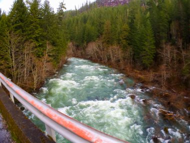 Oregon nehir manzara