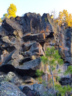 Rock keşif deschutes orman
