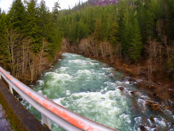 Paysage de la rivière Oregon — Photo