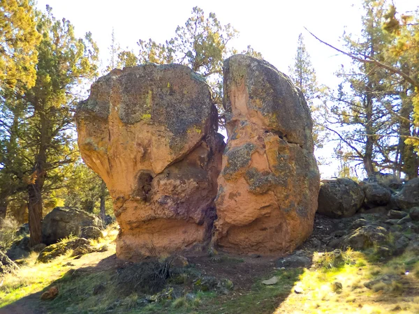 Rock Exploration Deschutes Forest — Stock Photo, Image