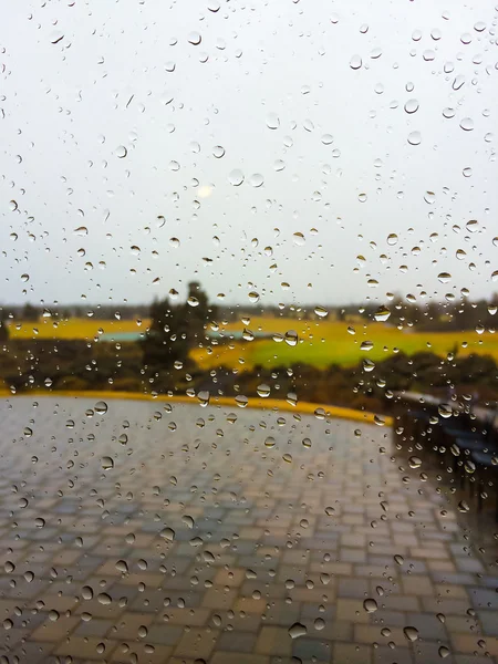 Rainy Weather on Glass — Stock Photo, Image