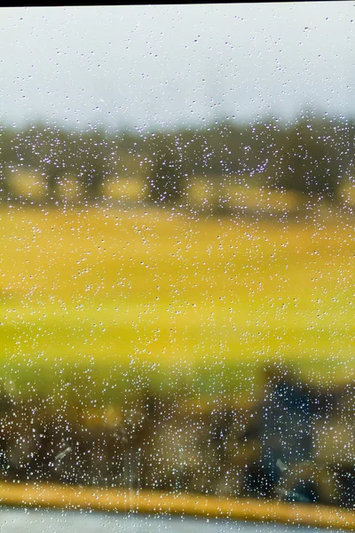 Rain Drops on Glass — Stock Photo, Image