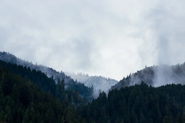 Горы и холмы покрыты снегом — стоковое фото