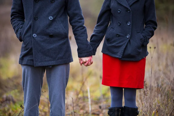 Heureux fiancé couple portrait — Photo