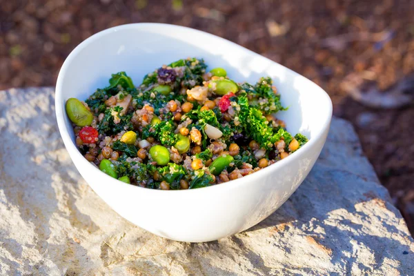 Paleo Diet Quinoa Kale Salad — Stock Image Paleo Diet Quinoa Kale Salad Stock Photo