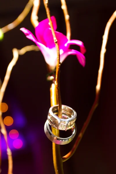 Anéis de casamento e flores — Fotografia de Stock