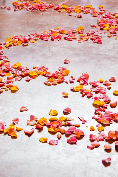 Casamento pétalas de flores — Fotografia de Stock