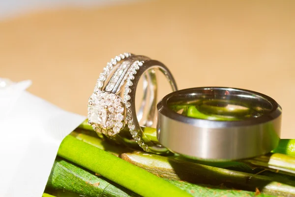 Anillos de boda macro — Foto de Stock