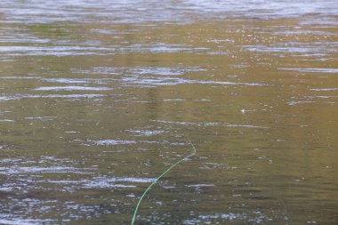 Su hattı ve kuru sinek sinek