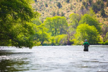 Deschutes Nehri üzerinde döküm balıkçı sinek