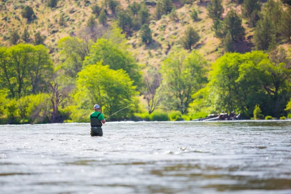 Fly Fisherman Casting no rio Deschutes — Fotografia de Stock