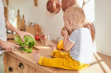 Bakıcı baba, oğluyla birlikte mutfakta salata hazırlar. Baba ve oğul birlikte sağlıklı yemek hazırlayın, yeşil salata..