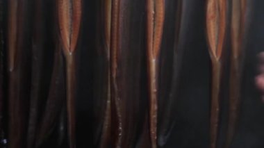 füme yılan balığı