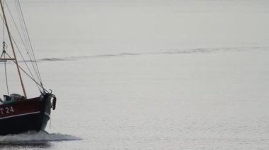 geleneksel tabak karides