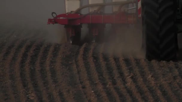 Буріння кукурудзи — стокове відео