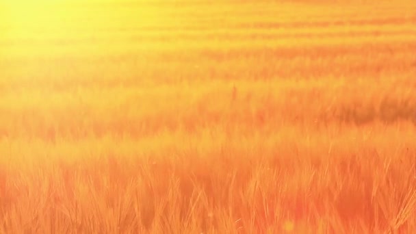 Coucher de soleil