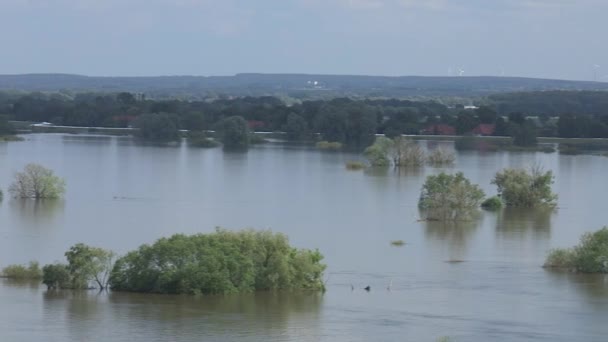 Floodplain — Stock video