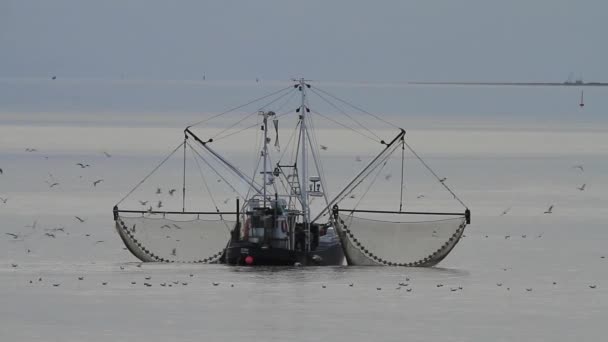 Shrimp Boat — Stock Video