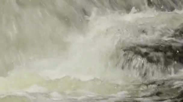 野生水 — 图库视频影像
