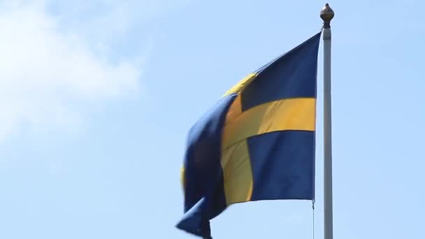 Swedish Flag — Stock Video