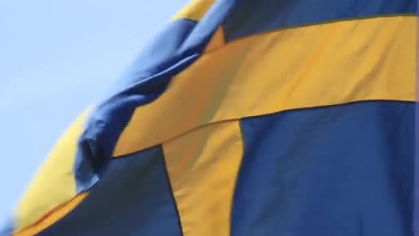 Zweedse vlag — Stockvideo