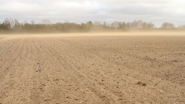 Tormenta de polvo — Vídeos de Stock