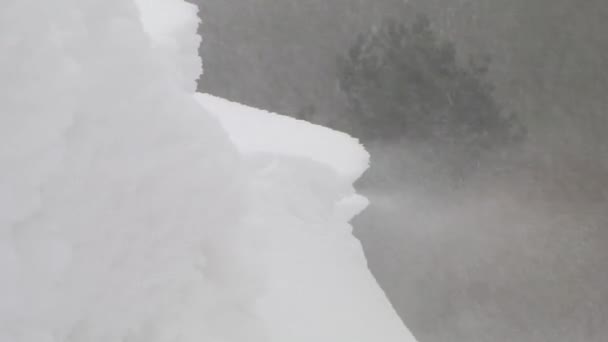 Snow Bank — Stock Video