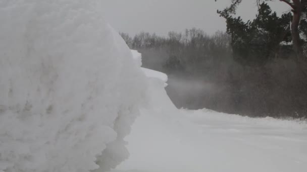 Gale de invierno — Vídeos de Stock