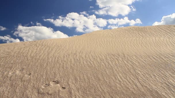 Sanddynen mot himlen — Stockvideo